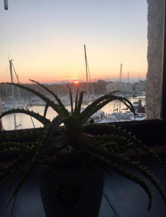Apartmán Petit Cocon Magnifique Vue Sur Marina Dans Le Golfe De Saint Tropez Cogolin Exteriér fotografie