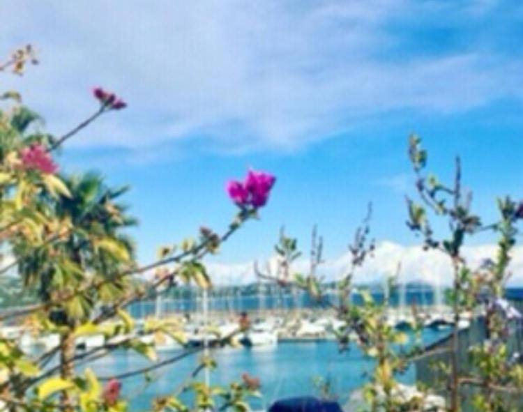 Apartmán Petit Cocon Magnifique Vue Sur Marina Dans Le Golfe De Saint Tropez Cogolin Exteriér fotografie
