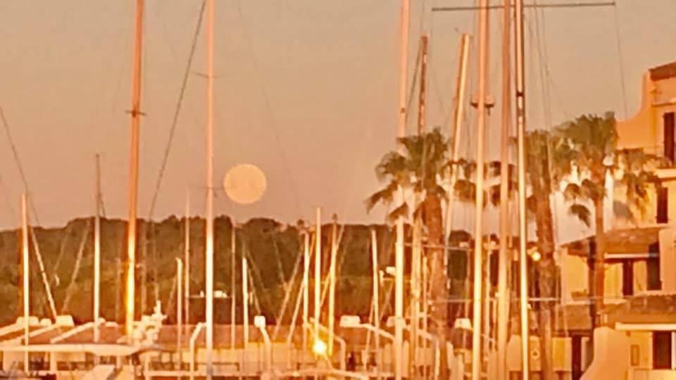 Apartmán Petit Cocon Magnifique Vue Sur Marina Dans Le Golfe De Saint Tropez Cogolin Exteriér fotografie